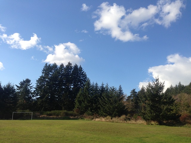 这场土耳其