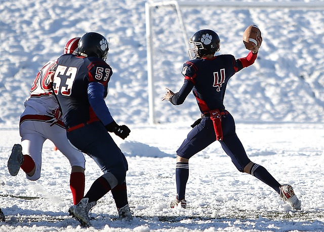 的重要原因 的重要原因