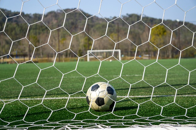 中吸引读者 中吸引读者