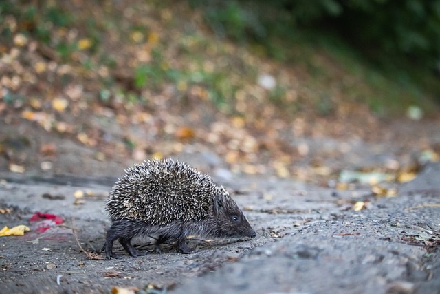 捷与舒适的 捷与舒适的