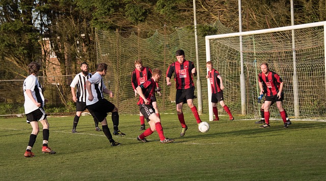 凭借本赛季 凭借本赛季